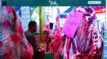 أسعار اللحمة البلدي في كفر الشيخ اليوم الأحد 16 نوفمبر 2025